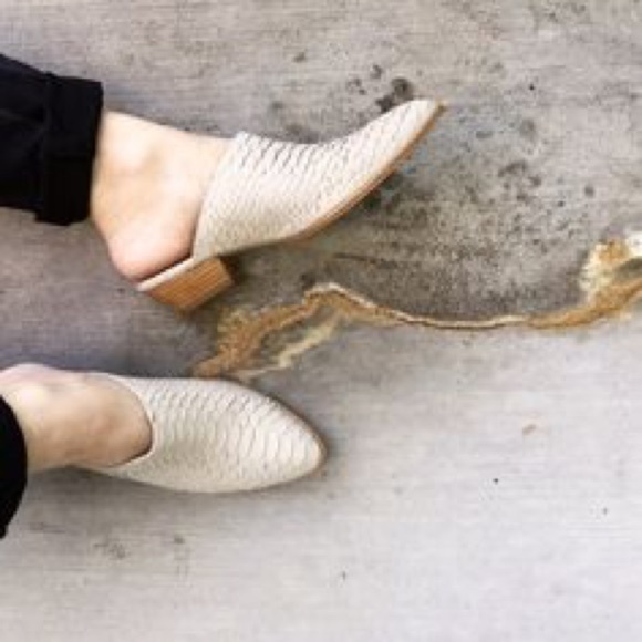 Matisse mules Clearance